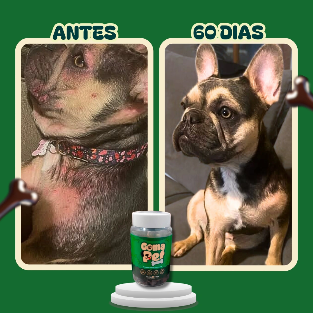 Antes e depois de 60 dias usando GomaPet — melhora visível na pele do pescoço do cão